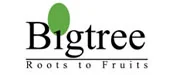 BIG TREE IT Services