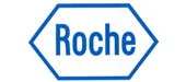 ROCHE IT Services